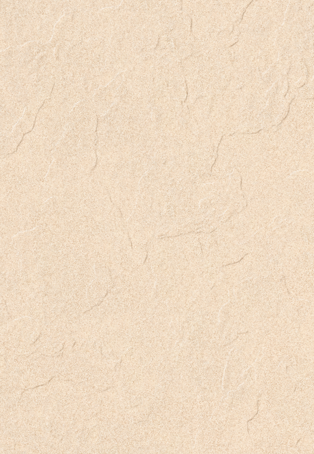 TL 04222 D Punch Vitrified Tile | Image -1