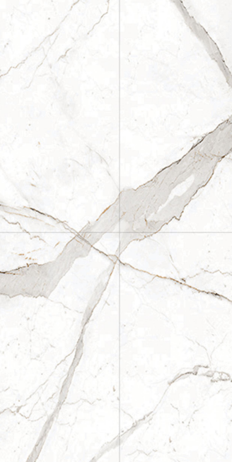 Carv Real Satvario 1200x600 mm Matte Finish Carving Glaze Vitrified Floor and Wall Tile - 9 mm | Image 1