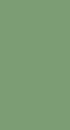 276 1.0 mm Pista Green Solid Laminate (8Ft X 4Ft) - Interior and Ceiling  Decors, Veneers and Laminates - Buy 276 1.0 mm Pista Green Solid Laminate  (8Ft X 4Ft) Online at