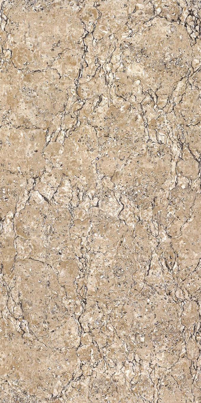 TL 02847 Oragnic Brown 4 ft x 2 ft Glossy Finish Vitrified Wall & Floor Tile - 9.5 mm | Image 01