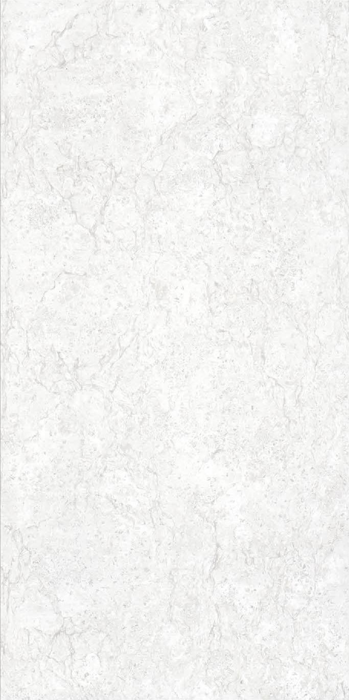 TL 03012 Frosty White 4 ft x 2 ft Glossy Finish Vitrified Wall & Floor Tile - 9.5 mm | Image 01