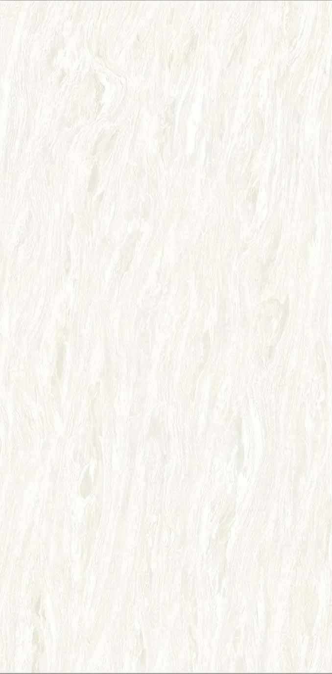 TL 03009 Ice White 4 ft x 2 ft Glossy Finish Vitrified Wall & Floor Tile - 9.5 mm | Image 01