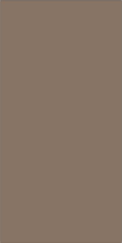 Material Depot laminates in bangalore - high quality image of a SMT 214 Mushroom Brown Decorative Laminate from Imperio Laminates with Super Matte finish