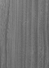 Material Depot laminates in bangalore - high quality image of a 9105 SF 9105 SF Grey Silky Oak Grey Decorative Laminate from Advance Laminates with Suede finish