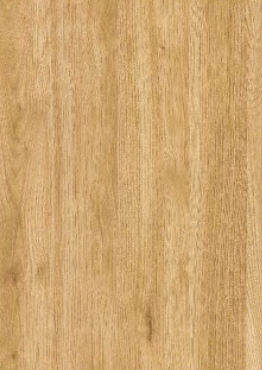 9160 DB Pacific Walnut Brown Decorative Laminate of 0.8 mm with a Texture finish available for sale at Material Depot in Bangalore