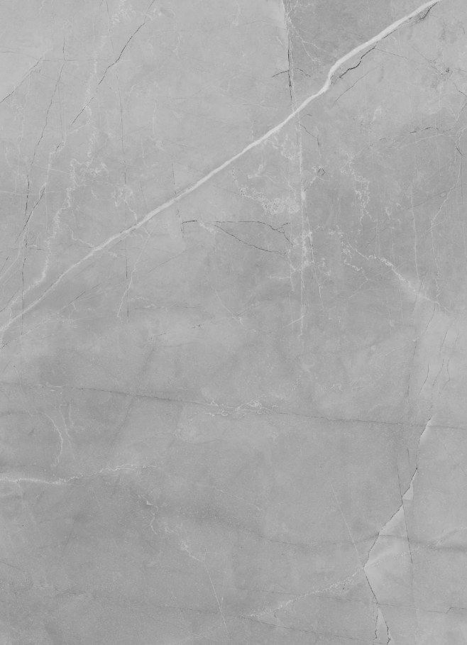 Grifine Amani Grey 600x1200 mm Matte Finish Vitrified Tile - 9 mm | Image 01