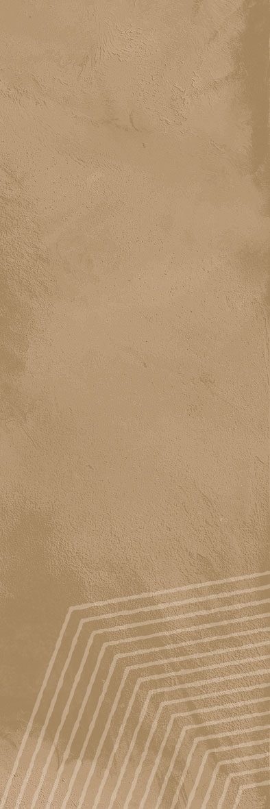 Rome Brown Era-08 300x100 mm Subway Tile| Image 1