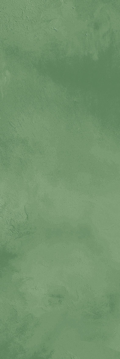 Rome Green-15 300x100 mm Subway Tile| Image 1