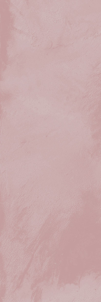 Rome Pink-08 300x100 mm Subway Tile| Image 1