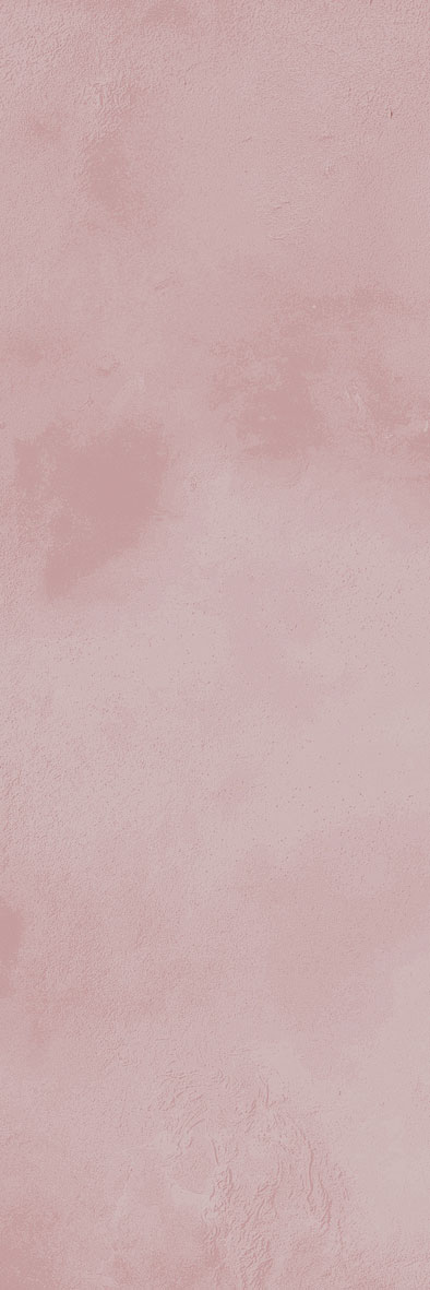 Rome Pink-14 300x100 mm Subway Tile| Image 1