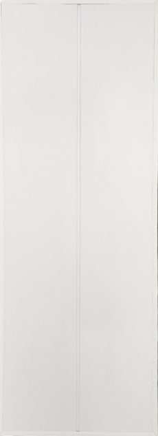 3011 The Rare 10 ft x 1 ft PVC Panel - 8.5 mm | Image 01