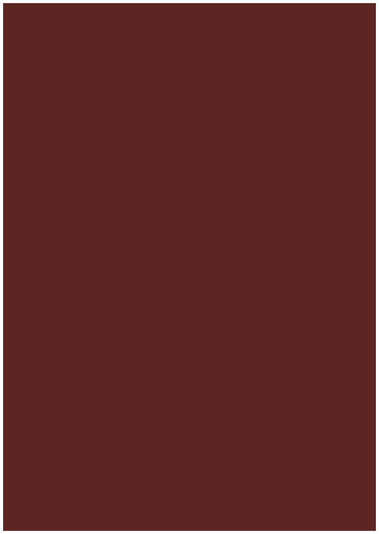 3653 RSO Amber 8 ft x 4 ft Raso Solid Super Matte Finish Decorative Laminate - 1 mm Laminates Raso Solid Red| Image 1