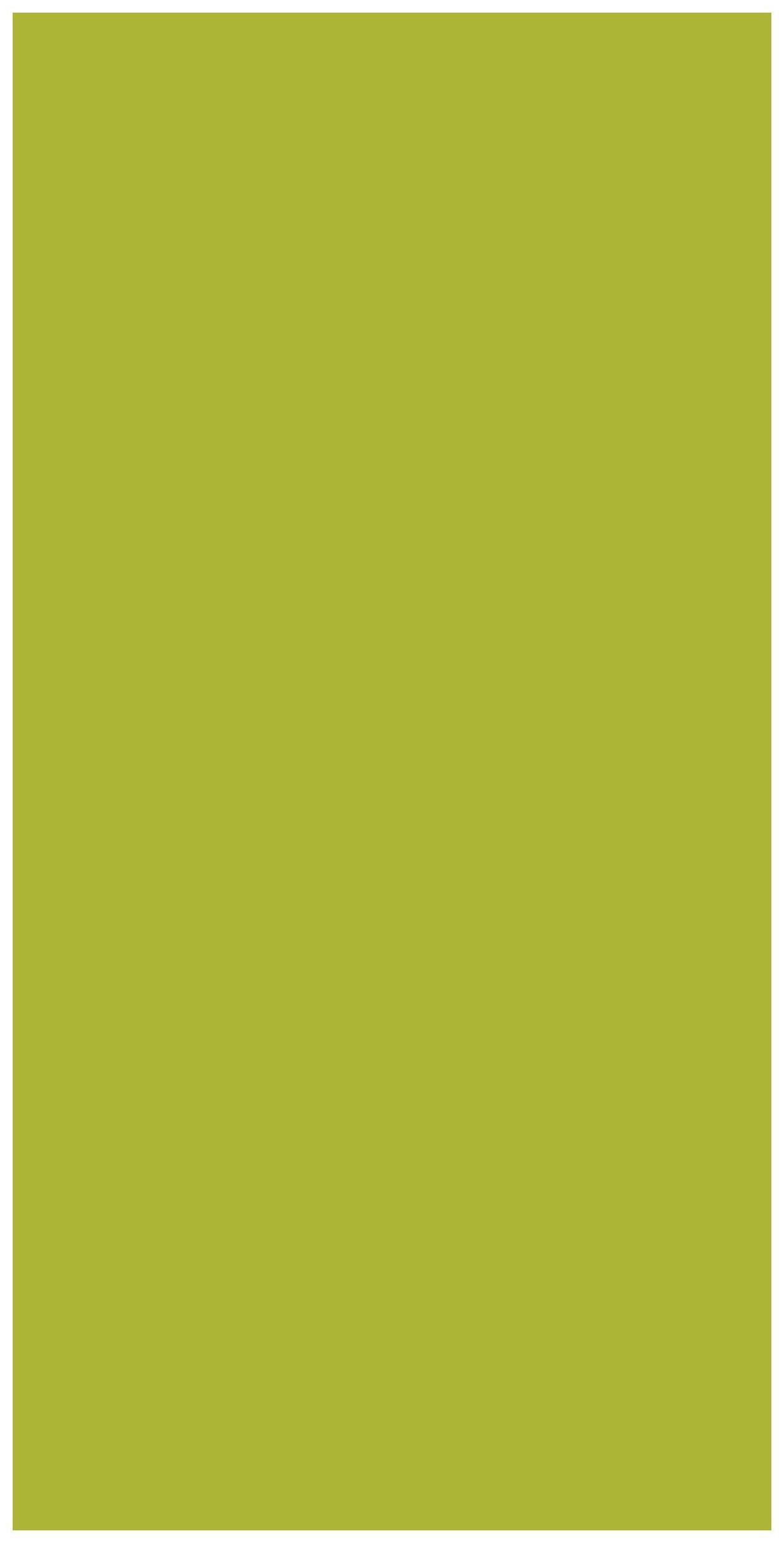 3580 RSO Fresh Green 8 ft x 4 ft Raso Solid Super Matte Finish Decorative Laminate - 1 mm Laminates Raso Solid Green| Image 1