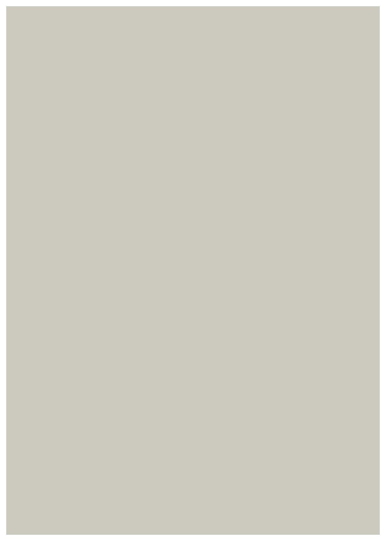 3562 RSO Pearly Mist 8 ft x 4 ft Raso Solid Super Matte Finish Decorative Laminate - 1 mm Laminates Raso Solid Beige| Image 1