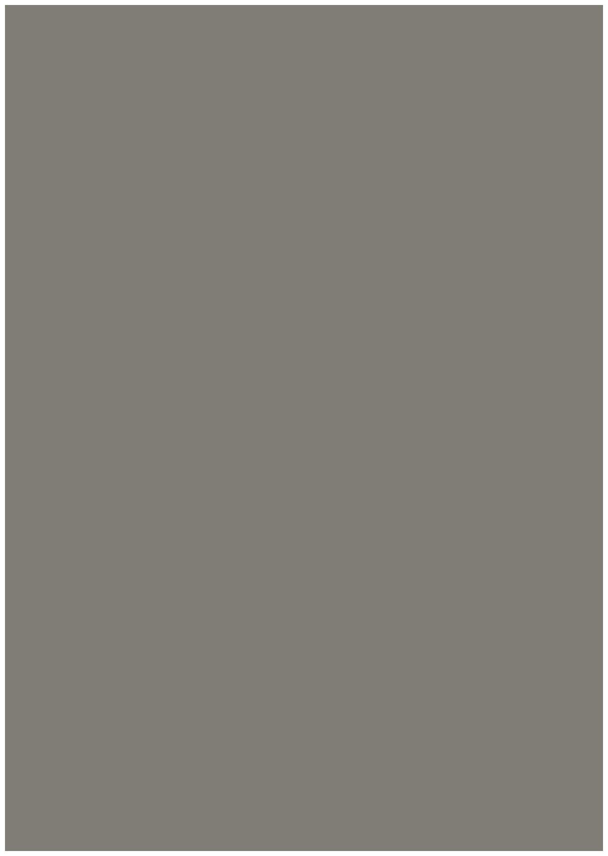 3563 RSO Porpoise Grey 8 ft x 4 ft Raso Solid Super Matte Finish Decorative Laminate - 1 mm Laminates Raso Solid Grey| Image 1