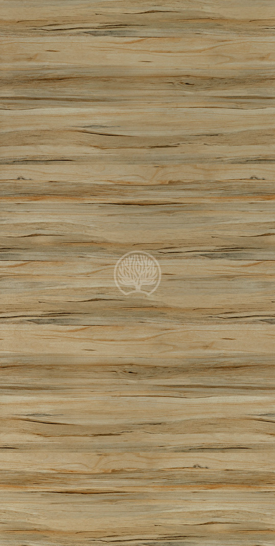 7591 Gold Decorative Laminate of 1 mm with a Texture finish available for sale at Material Depot in Bangalore