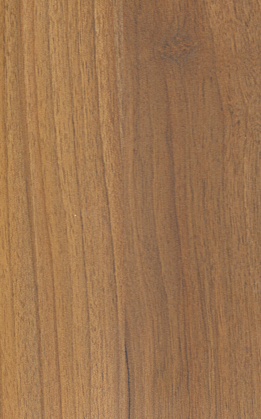 655 Lyon Walnut 2440x1830 mm Prelam OSL Particle Board - 9 mm | Image 01