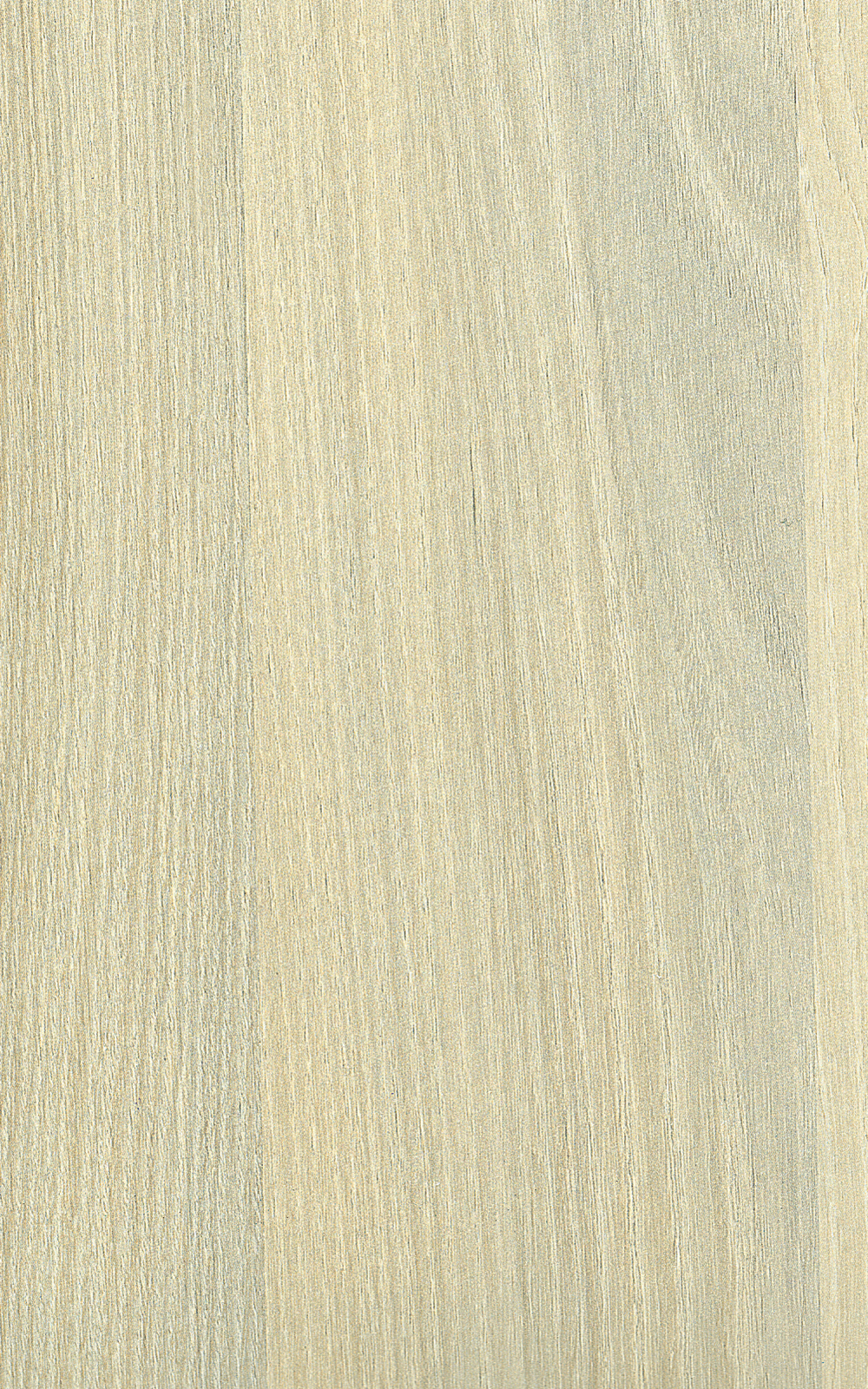 706 Acacia 2440x1830 mm Prelam OSL Particle Board - 9 mm | Image 01