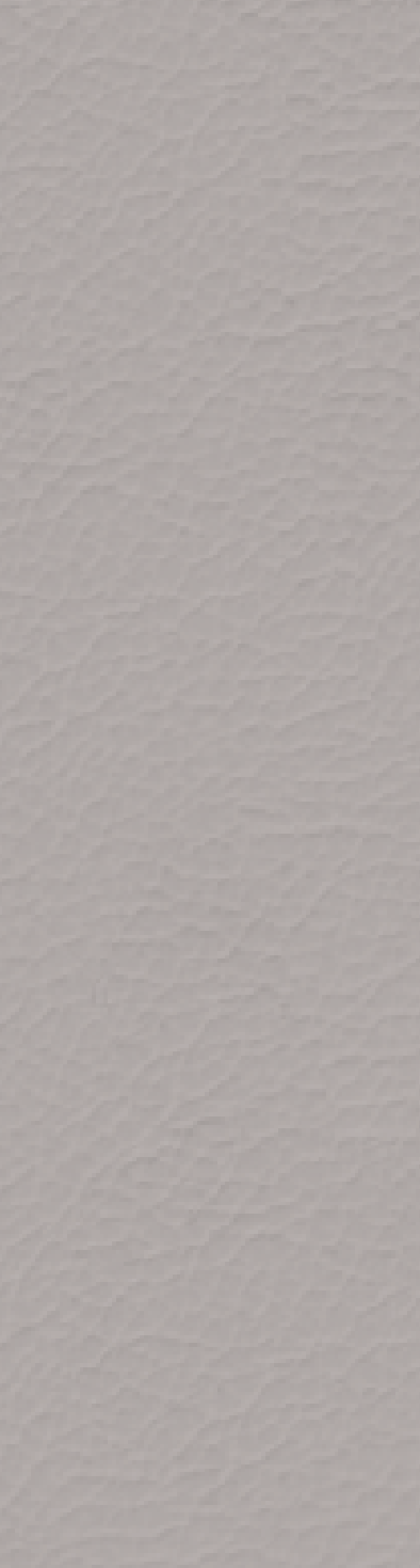 LT 1108 Mist 8 ft x 4 ft Leather Touch Finish Decorative Laminate - 1 mm Laminates  Grey| Image 1