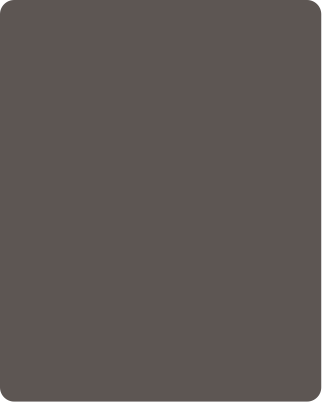 PT 486 Lite 8 ft x 4 ft Acrylic Laminate - 1 mm Laminates  Grey| Image 1