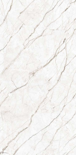 Material Depot tiles in bangalore - high quality image of aEpoque Bianco-End Match of 1600x800 mm with a Glossy finish