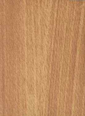 A close-up of a Beige 5067 SF Bavarian Beech with a Suede finish Decorative Laminate available at Material Depot in Bangalore