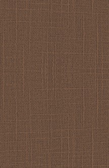 CL 206 Linen Glass 2440x1220 mm PVC Laminate - 1 mm | Image 01