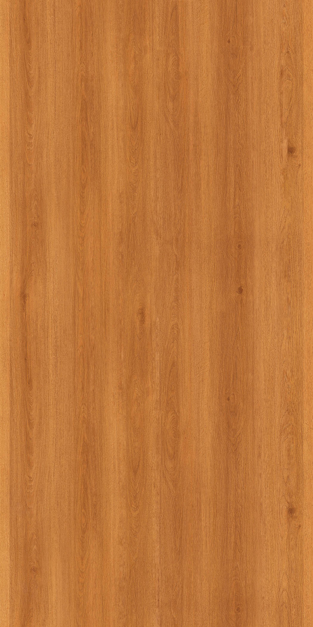 SF 2125 Timber Oak 8 ft x 4 ft Suede Finish Laminate - 1 mm | Image 01