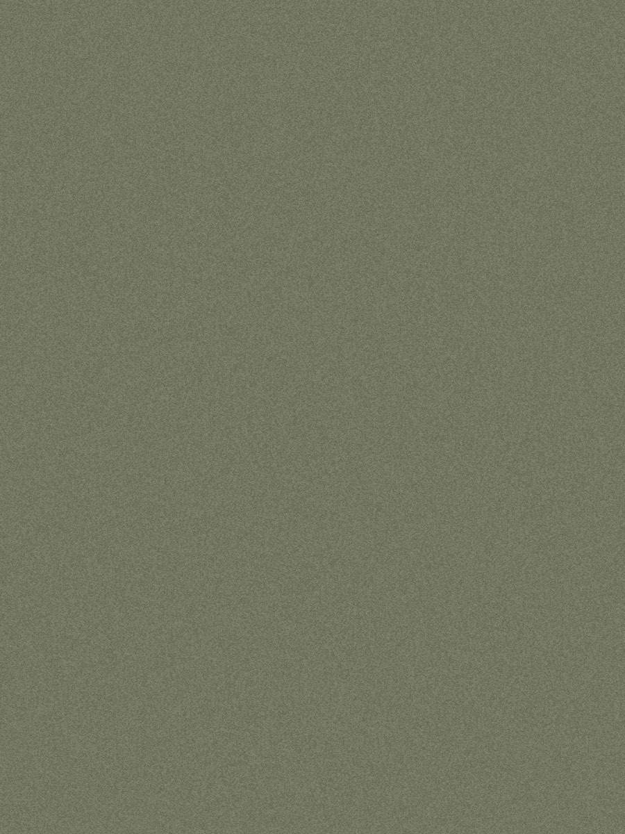 PMT 9002 Jungle Green 2440x1220 mm Star Dust Finish Shikhar Birch Acrylic Board - 17.6 mm | Image 01