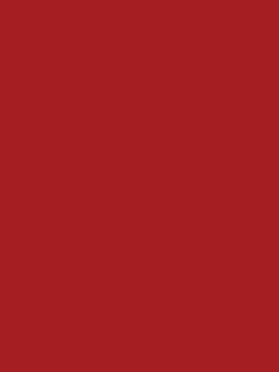 UG 1002 Ruby Red 2440x1220 mm Ultra Gloss Finish Shikhar Birch Acrylic Board - 17.6 mm | Image 01