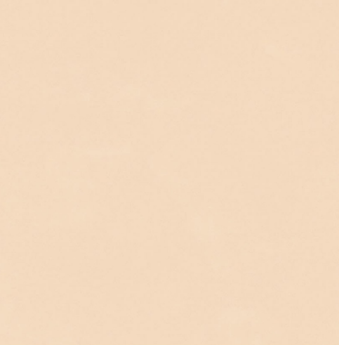 TL 00567 Crema 2 ft x 2 ft Matte Finish Digital Porcelain Floor & Wall Tile - 9.5 mm| Image 1