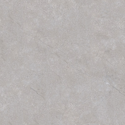 TL 00576 Grey 2 ft x 2 ft Matte Finish Digital Porcelain Floor & Wall Tile - 9.5 mm| Image 1