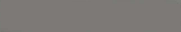 1008 Gothic Grey Solids Series 30x0.80 mm Matte UV Finish Edgeband - 1 Metre Edgeband 1 Metre Grey| Image 1