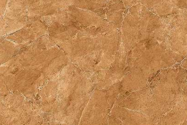 TL 01616 C Dark Earthy Brown 18 x 12 inch Glossy Finish Ceramic Wall Tile - 6 mm | Image 01