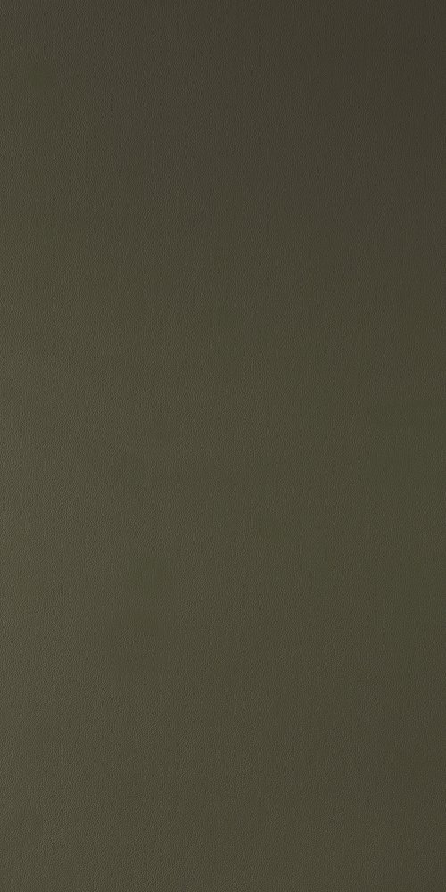 A close-up of a Black 1016 Olive Green with a Leather finish Decorative Laminate available at Material Depot in Bangalore