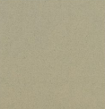 1113 GR PR Mettallic Beige 8 ft x 4 ft Laminate - 0.8 mm| Image 1