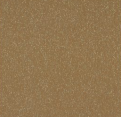 1117 GR PR Mettallic Metalic Beige 8 ft x 4 ft Laminate - 0.8 mm| Image 1