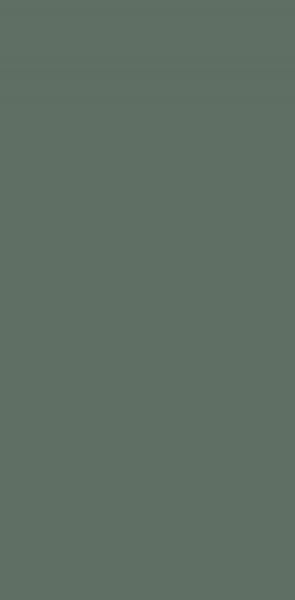 2114 TM Elite Series Pastels Olive Green 8 ft x 4 ft Laminate - 1 mm| Image 1