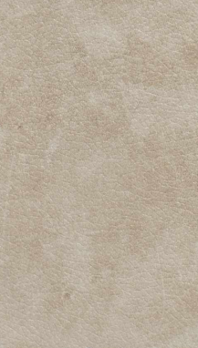 Material Depot laminates in bangalore - high quality image of a 9120 SLR Seafoam Tinge Beige Decorative Laminate from Star Mica with Texture finish