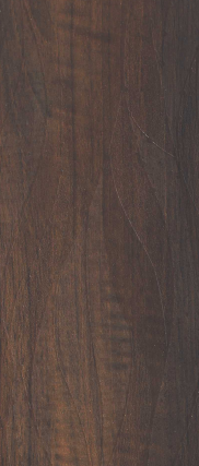 A close-up of a Brown JF 6728 Birch Wood with a Texture finish Decorative Laminate available at Material Depot in Bangalore