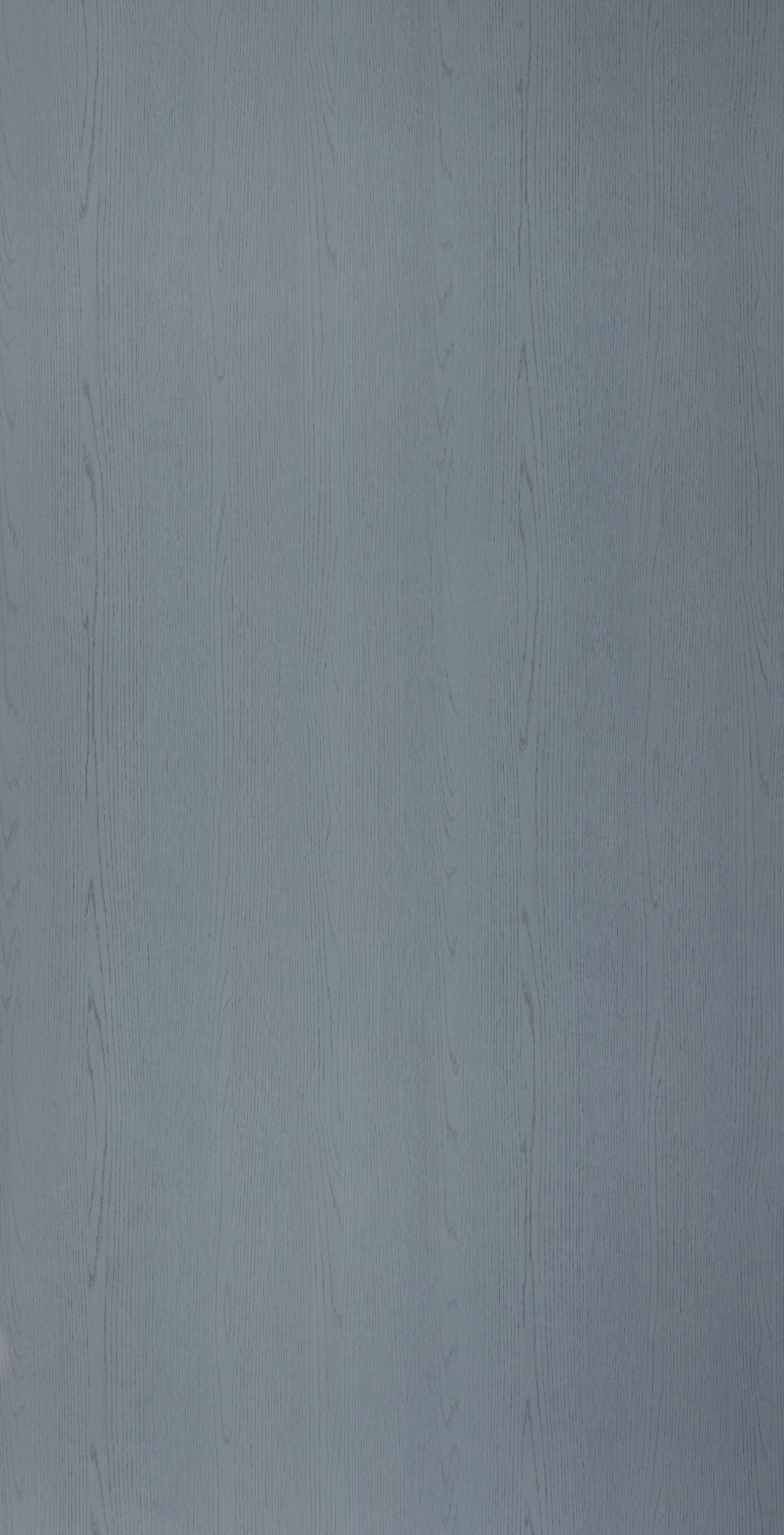 A close-up of a Grey 0164 WJW Summer Ashwood with a Texture finish Decorative Laminate available at Material Depot in Bangalore