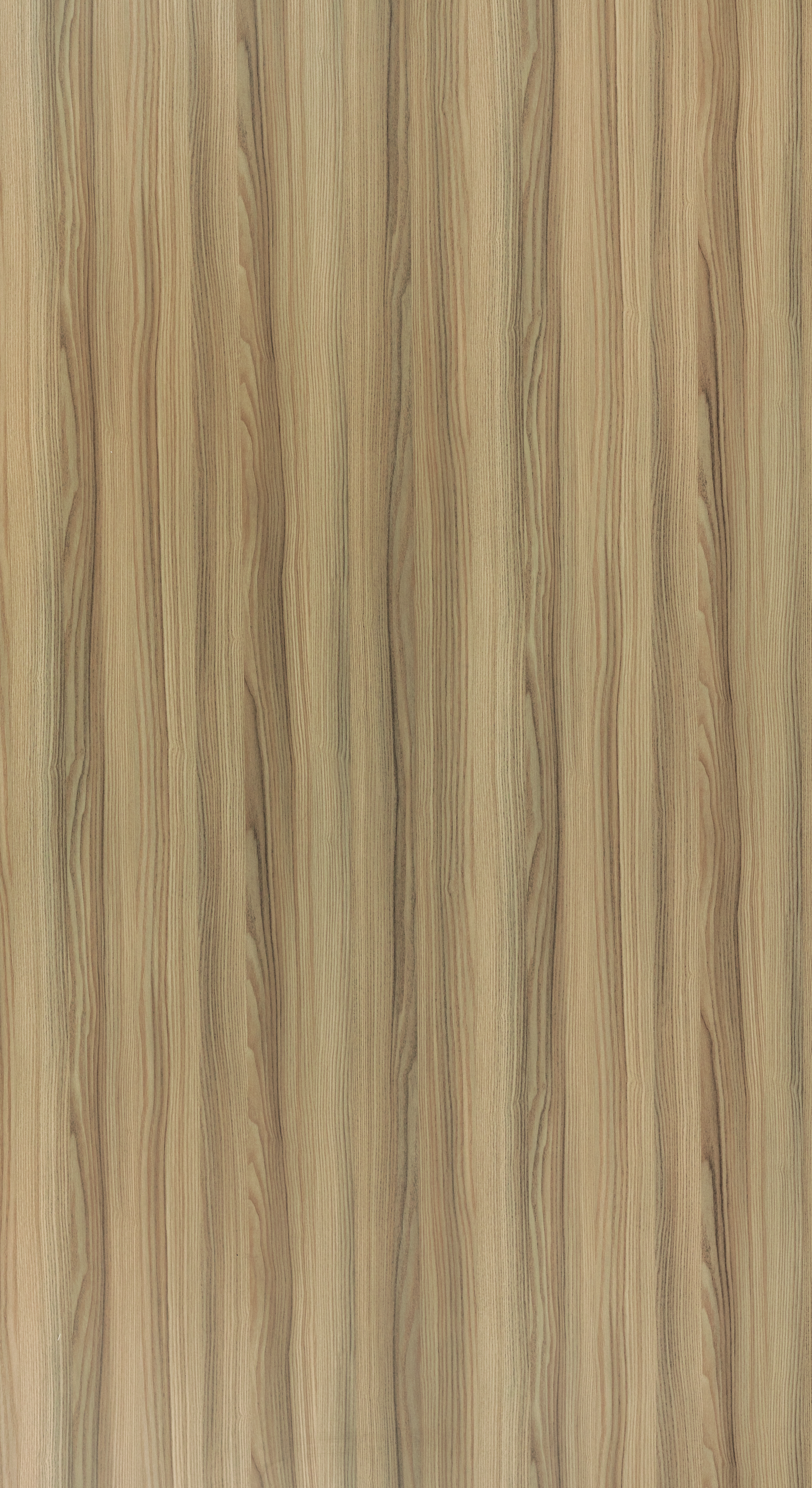 A close-up of a Beige 0165 SF Summer Ashwood with a Suede finish Decorative Laminate available at Material Depot in Bangalore