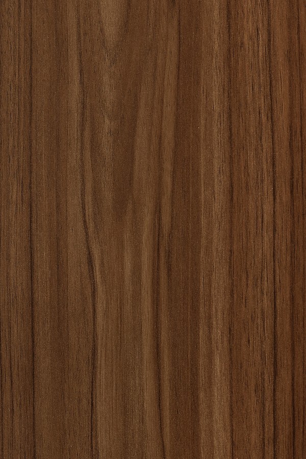 8584 HGS Camroon Teak Brown Decorative Laminate of 0.8 mm with a High Gloss finish available for sale at Material Depot in Bangalore