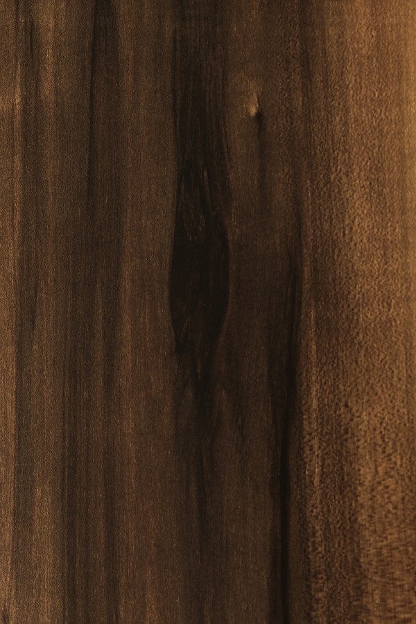 A close-up of a Brown 8603 HGS Bark Wood with a High Gloss finish Decorative Laminate available at Material Depot in Bangalore