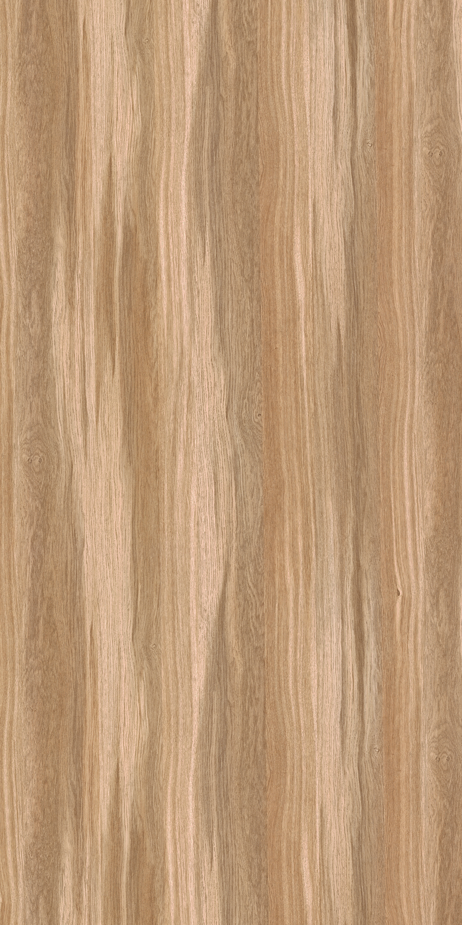 A close-up of a Brown SF 1524 Swiss Oak with a Suede finish Decorative Laminate available at Material Depot in Bangalore