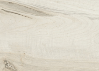 Material Depot laminates in bangalore - high quality image of a OH 7029 Pinie Cascino Beige Decorative Laminate from Ovel Laminates with Texture finish