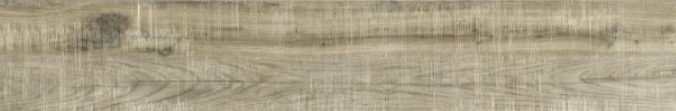 TL 03062 Digital Glazed 1200 x 200 mm Matte Finish Vitrified Tile| Image 1