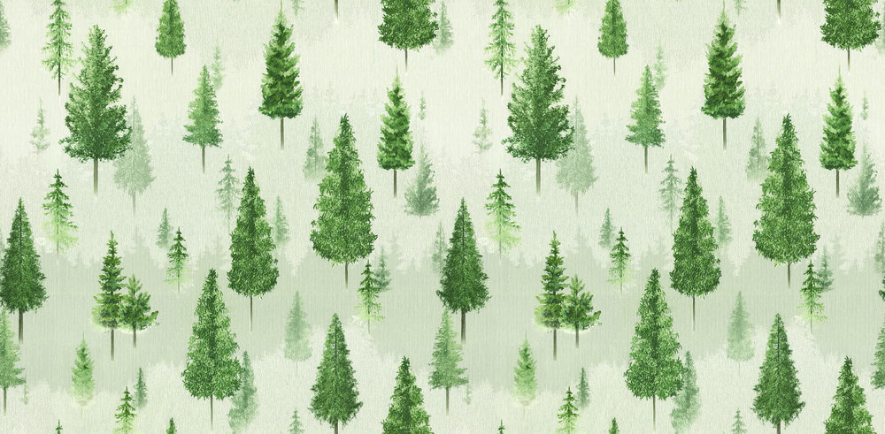 10245-3 | 5.18 Meter x 42 Inch PVC Nature Look Wallpaper - 59.5 Sq. Ft.  Image 01