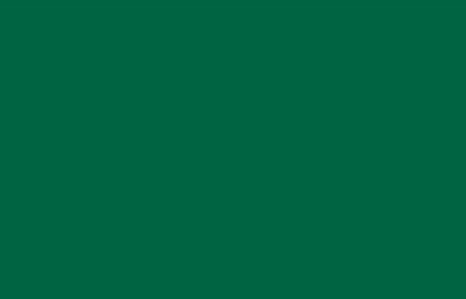 VA308 5 Star Metallic & Solid Colours Series Dark Green 8 ft x 4 ft  ACP Panel - 3 mm| Image 1