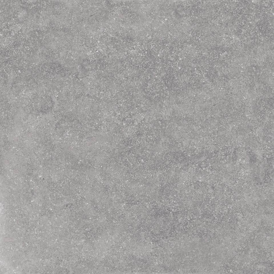 TL 00863 Rock Grey 600 x 600 mm Tile | Image 1